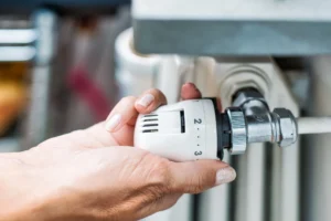 Çorlu Petek Temizliği