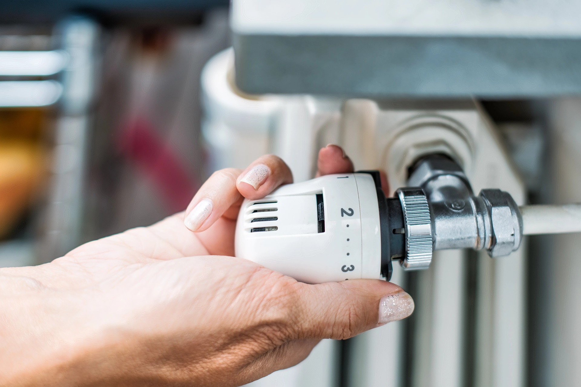 Çorlu Petek Temizliği